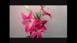 Somikon-Mini-Headset mit integrierter Kamera im Test